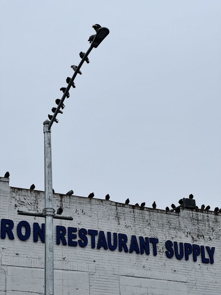 LEBRON RESTAURANT EQUIPMENT AND SUPPLY Updated August 2024 48