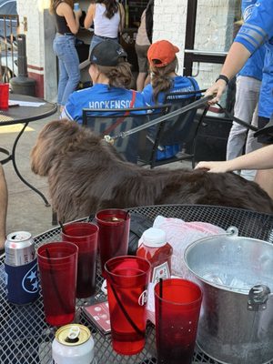 The Slider House by null