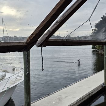 The Oar House - Pelican landing in the water near The Oar House. - American Near Me - Pensacola, Florida