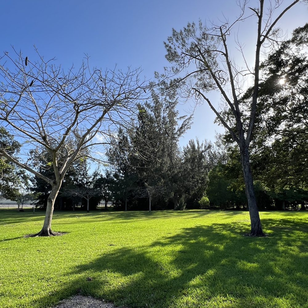 Tara Park - Parks Near Me - Plantation, Florida Tara Park - Parks Near Me - Plantation, Florida