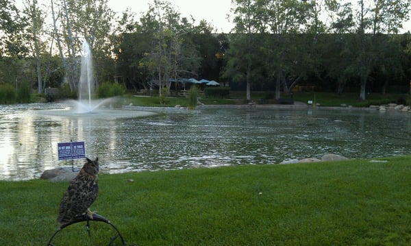 Quest Diagnostics, 33608 Ortega Hwy, San Juan Capistrano, CA