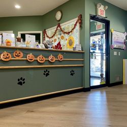 Roadside Veterinary Clinic - Front Desk