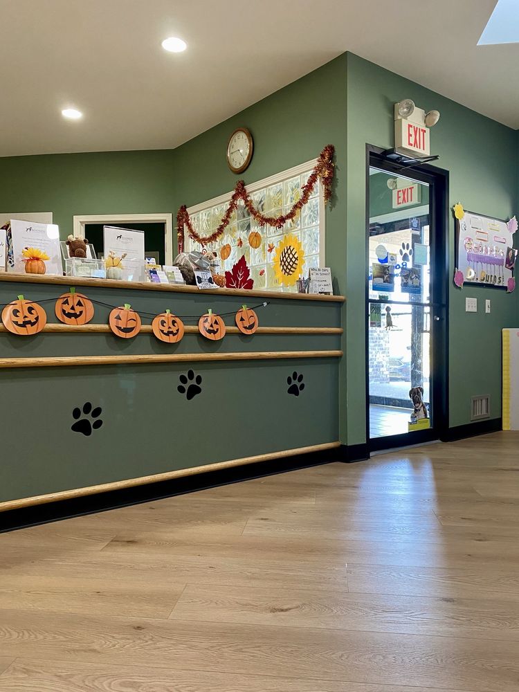 Roadside Veterinary Clinic In Highland Michigan