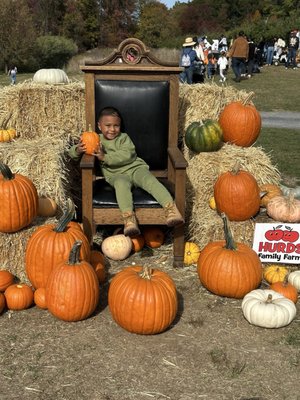 Hurds Family Farm by null