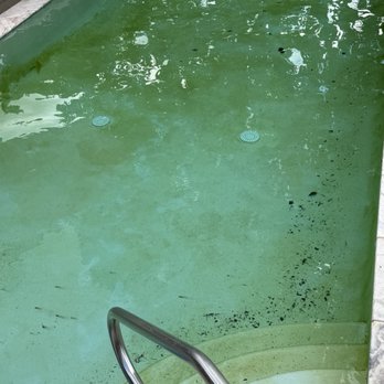 Kennedy Property Management - Dirty pool water and pool - Lawn Services Near Me - Purvis, Mississippi Kennedy Property Management - Dirty pool water and pool - Lawn Services Near Me - Purvis, Mississippi