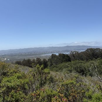Morro Bay State Park - Parks Near Me - Morro Bay, California Morro Bay State Park - Parks Near Me - Morro Bay, California