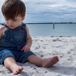 Little Moments Photography