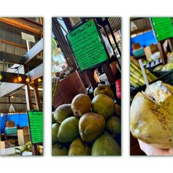 Yellow Green Farmers Market - Fresh Coconut Booth 300