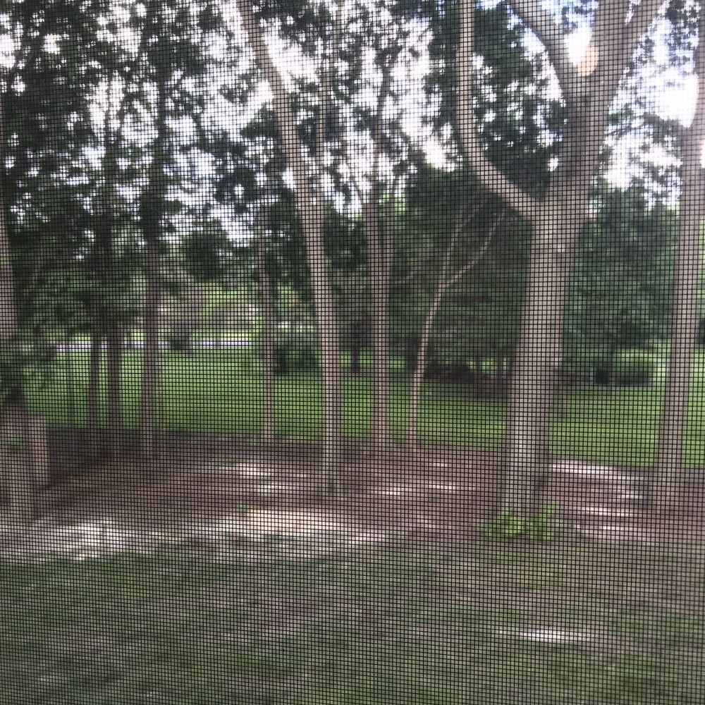 Timber Tree Service - Majestic - Tree Services Near Me