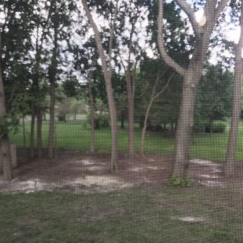 Timber Tree Service - Majestic - Tree Services Near Me