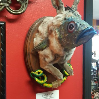 Bearded Lady Vintage And Oddities - What every home needs - Used, Vintage & Consignment Near Me - Burbank, California Bearded Lady Vintage And Oddities - What every home needs - Used, Vintage & Consignment Near Me - Burbank, California