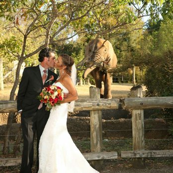 Cameron Park Zoo - Beautiful setting for out wedding at Cameron Park Zoo. - Zoos Near Me - Waco, Texas Cameron Park Zoo - Beautiful setting for out wedding at Cameron Park Zoo. - Zoos Near Me - Waco, Texas