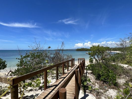 Playa La Jungla by null