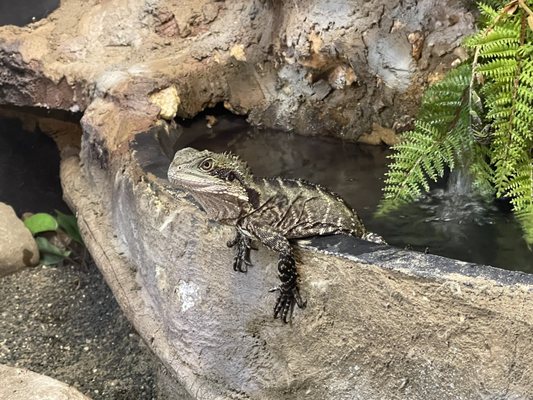 National Aquarium of New Zealand by null