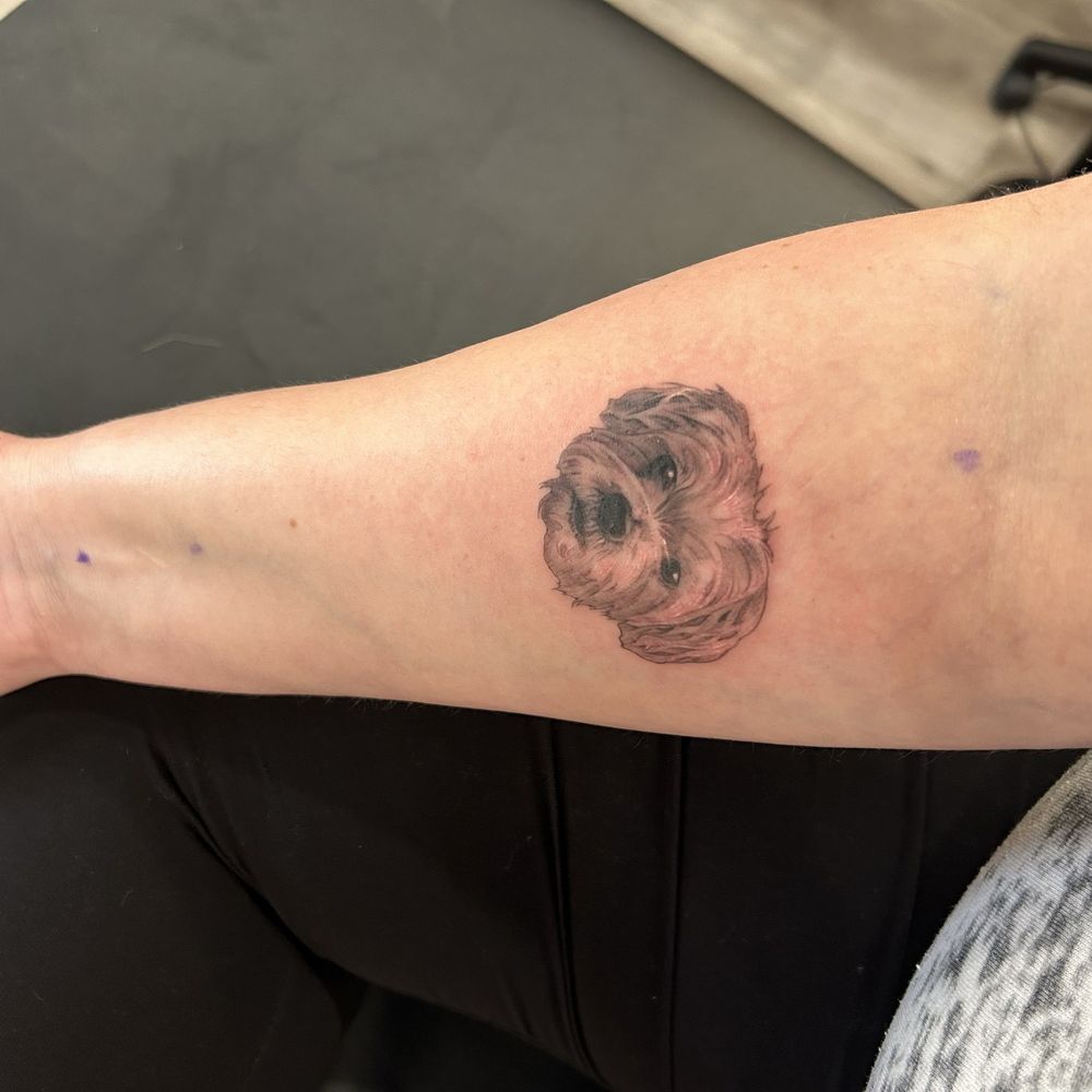 THE BEST 10 TATTOO near STATEN ISLAND MALL DR, STATEN ISLAND, NY 10314 -  Updated 2025 - Hours - Yelp, image size:1000x1000