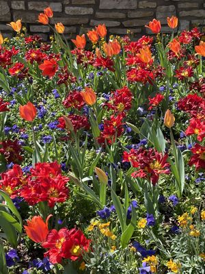 Fort Worth Botanic Garden by null