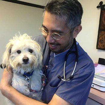 Veterinary Integrative Center - Veterinarians Near Me - Redlands, California Veterinary Integrative Center - Veterinarians Near Me - Redlands, California