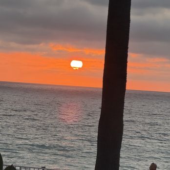 Harbor Fish Cafe - Sunset. - Seafood Near Me - Carlsbad, California Harbor Fish Cafe - Sunset. - Seafood Near Me - Carlsbad, California