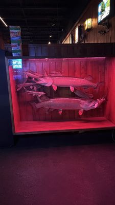 Muskellounge and Sporting Club by null