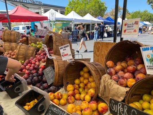 Irvine Farmers Market by null