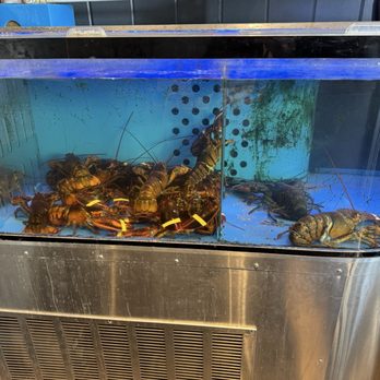 The Cull House - Seafood Near Me - Sayville, New York