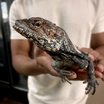 Phoenix Herpetological Society - Community Service/Non-Profit Near Me