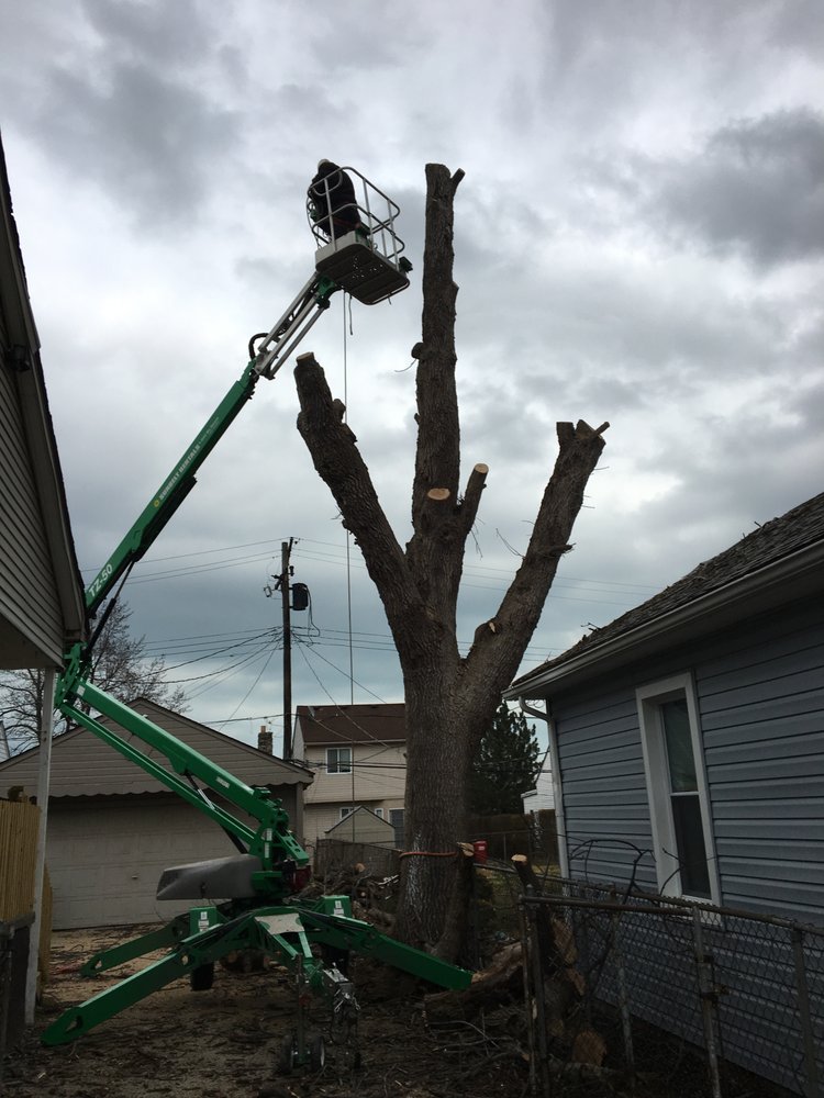 THREE OAKS LANDSCAPING Updated September 2024 14 Photos 27343