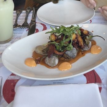 Fishing With Dynamite - Wild Spanish Octopus - Seafood Near Me - Manhattan Beach, California Fishing With Dynamite - Wild Spanish Octopus - Seafood Near Me - Manhattan Beach, California