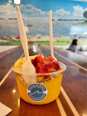 Nautical Bowls by null