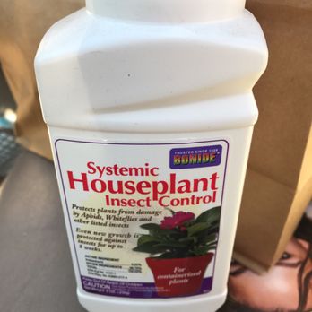 Clegg's Nursery -Siegen Lane - The gnat killer! May you gnats all die! Thank you to Nikki who was an abundance of help with my problem! - Nurseries & Gardening Near Me - Baton Rouge, Louisiana
