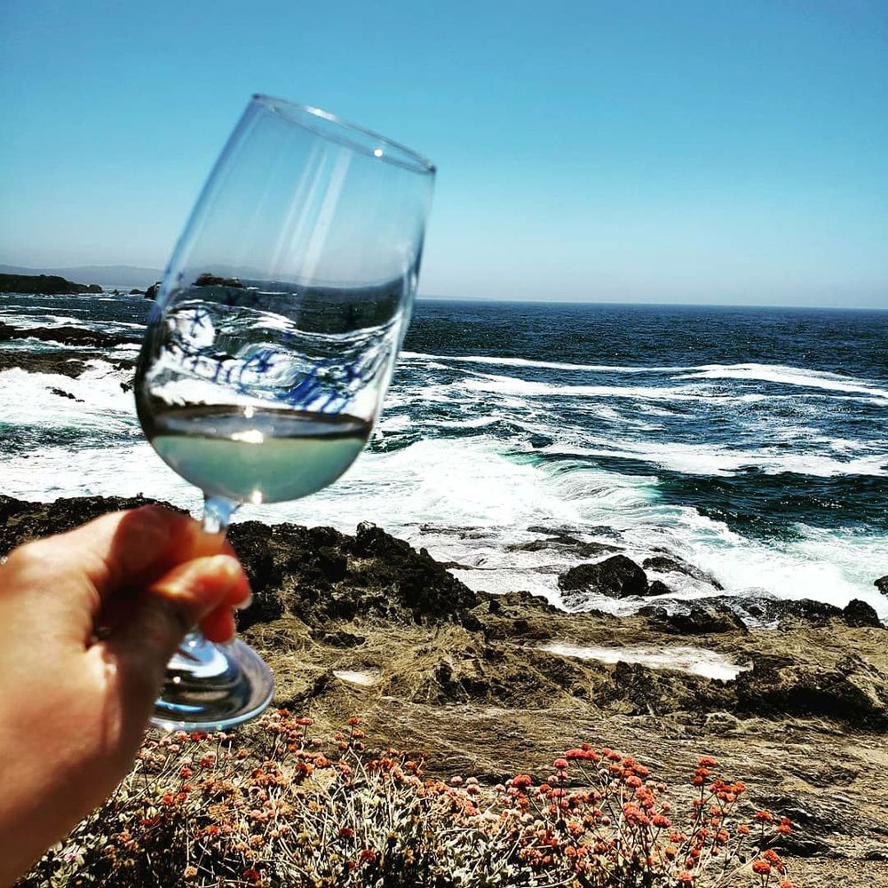 Pacific Star Winery - So pretty! - Wineries Near Me - Fort Bragg, California Pacific Star Winery - So pretty! - Wineries Near Me - Fort Bragg, California