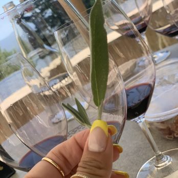 CADE Estate Winery - Wine Tasting Room Near Me - Angwin, California CADE Estate Winery - Wine Tasting Room Near Me - Angwin, California