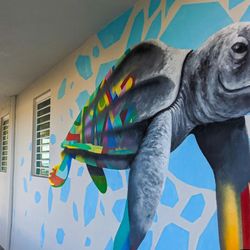 The Surfing Turtle Inn - Embrace the Pace - Slow Down and Savor the Serenity at The Surfing Turtle Inn