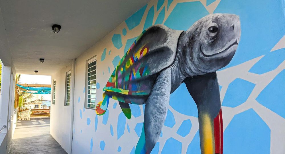 The Surfing Turtle Inn
