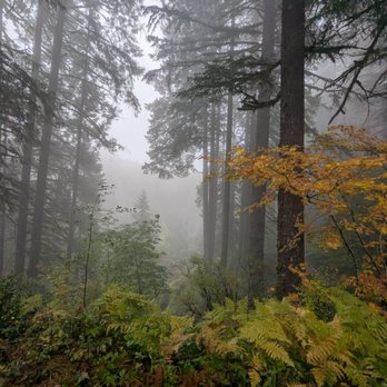 Silver Falls State Park - Hiking Near Me - Sublimity, Oregon