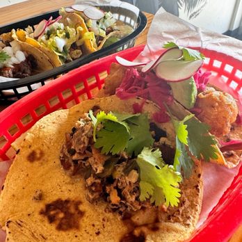 Black Rooster Taqueria - Crispy Fish Taco, Achiote Pork - Mexican Near Me - Orlando, Florida