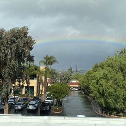 Premier Endodontics Dental Group - This is what you see from the dental chair.