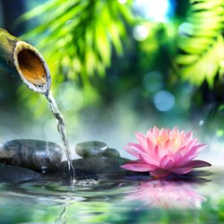 Integrative Hypnotherapy