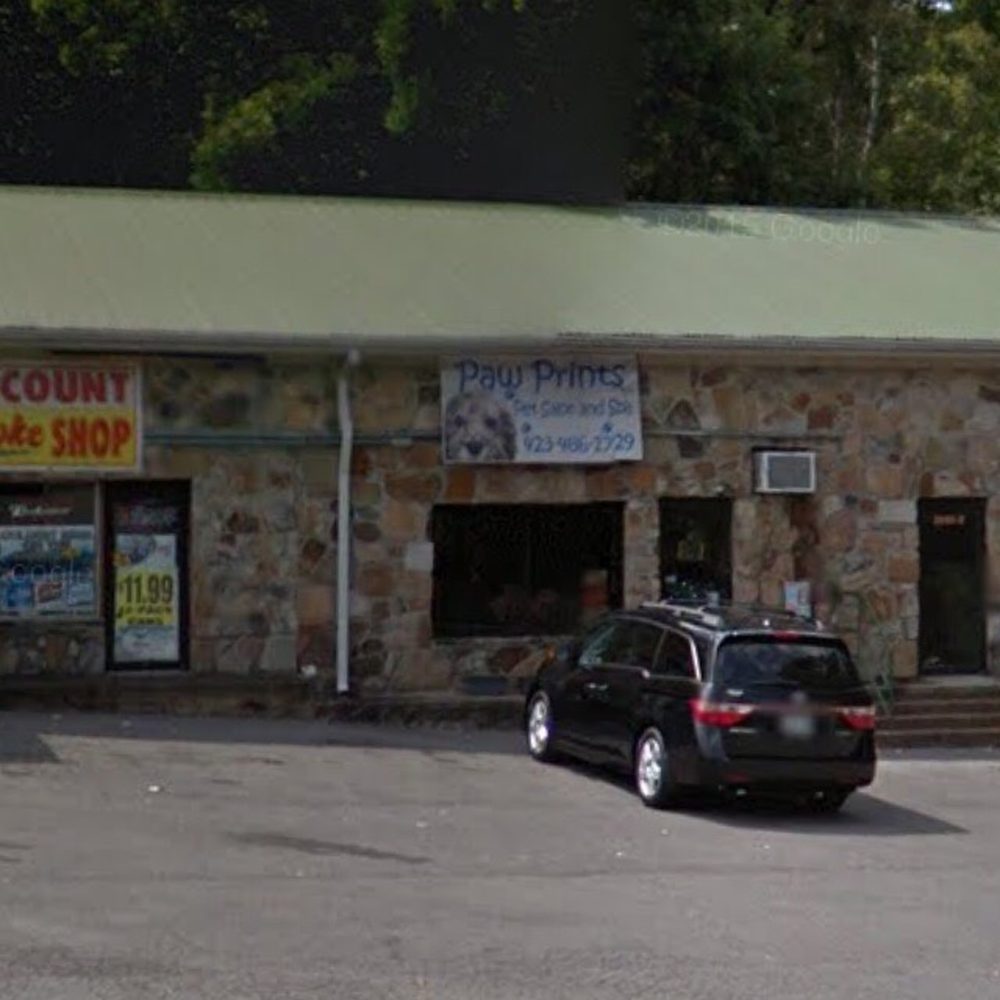 Paw Prints - Always closed - Pet Sitting Near Me - Signal Mountain, Tennessee