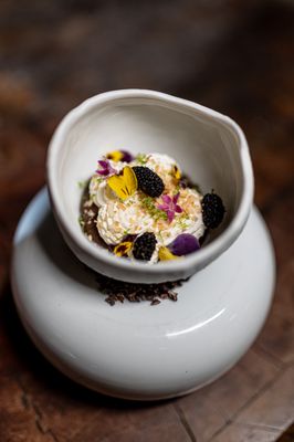 Stubborn Seed - Miami Beach by null