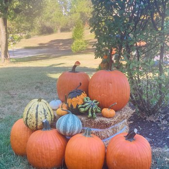 Portal Pumpkins - Food Delivery Services Near Me - Bellefonte, Pennsylvania