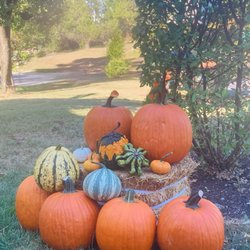 Portal Pumpkins