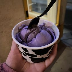 Davis Creamery - Ube Ice Cream