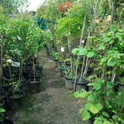 Presti Nursery