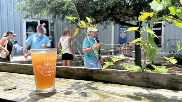 Galveston Island Brewing by null