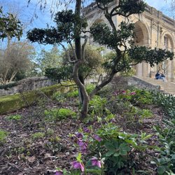 Jardin Public - Plants