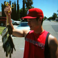 Walnut Grove Marina - Here fishy fishy
