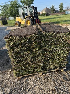 Platinum 36 Grass & Installation