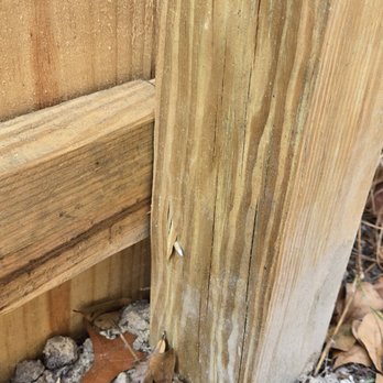 Armstrong Fence - nails sticking out of the fence - Fences & Gates Near Me - Jacksonville, Florida Armstrong Fence - nails sticking out of the fence - Fences & Gates Near Me - Jacksonville, Florida
