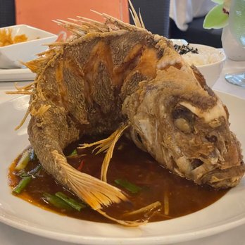 Chef Chai - Asian Fusion Near Me - Honolulu, Hawaii Chef Chai - Asian Fusion Near Me - Honolulu, Hawaii